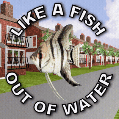 A Fish Is In A Circle With The Words Like A Fish Out Of Water GIF