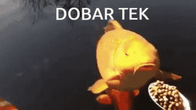 A Fish Is Looking At A Bowl Of Food With The Words Dobar Tek Written Above It GIF