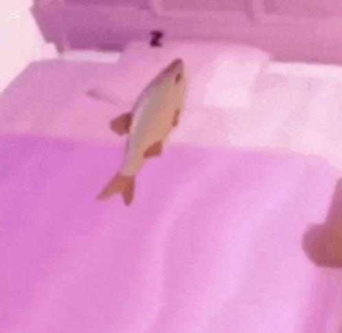 A Fish Is Sleeping On A Bed With The Words " Sssss Kimya Uyuyor " Above It GIF