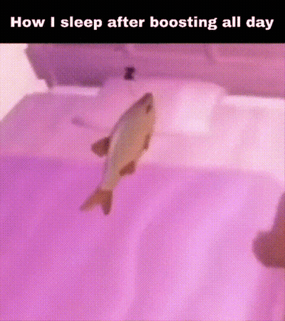 A Fish Is Swimming In A Bathtub With A Caption That Says How I Sleep After Boosting All Day GIF