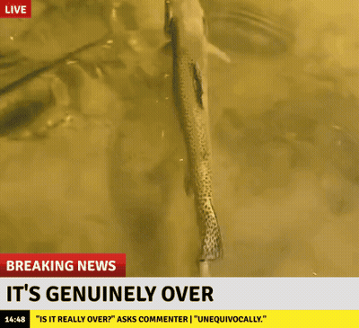 A Fish Is Swimming In A Body Of Water With A Breaking News Headline That Says It 'S Genuinely Over GIF
