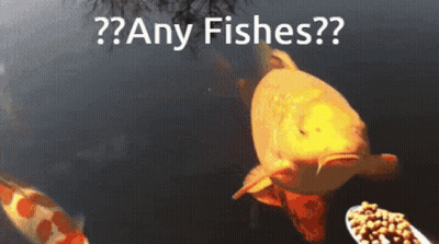A Fish Is Swimming In A Pond With The Words Any Fishes Written Above It GIF