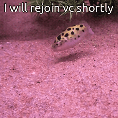 A Fish Is Swimming In The Sand With The Words " I Will Rejoin Vc Shortly " Written Above It GIF