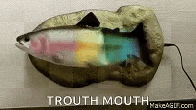 A Fish With A Rainbow In Its Mouth Is Sitting On A Rock On A Table . GIF