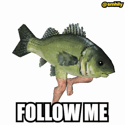 A Fish With Human Legs And The Words Follow Me GIF