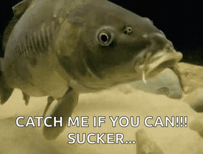 A Fish With Its Mouth Open And The Words Catch Me If You Can Sucker GIF