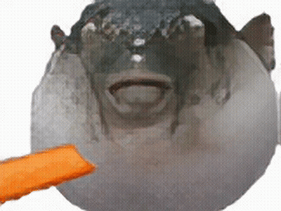 A Fish With Its Mouth Open Is Being Fed By Someone GIF