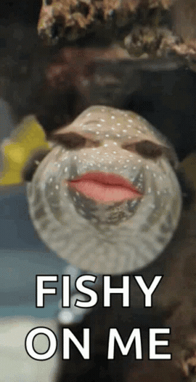 A Fish With Lipstick On Its Lips And The Words Fishy On Me GIF