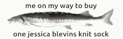A Fish With The Words " Me On My Way To Buy One Jessica Blevins Knit Sock " Below It GIF