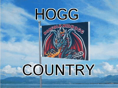 A Flag That Says Hogg Country On It With A Dragon On It GIF