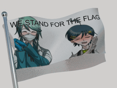 A Flag That Says " We Stand For The Flag " GIF