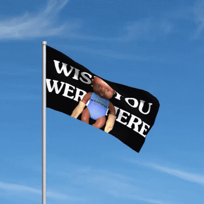 A Flag That Says " Wish You Were Here " On It GIF
