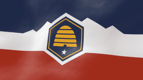 A Flag With A Beehive On It And A Star GIF