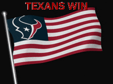 A Flag With A Bull On It And The Word Texans Win Above It GIF