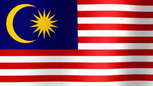 A Flag With A Crescent Moon And A Star On It GIF