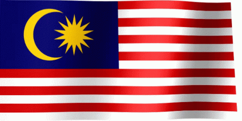 A Flag With A Crescent Moon And A Star On It GIF
