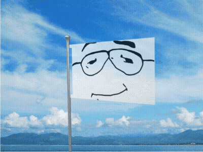 A Flag With A Drawing Of A Face With Glasses On It GIF