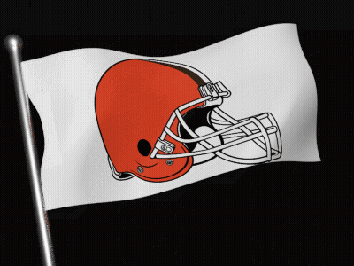 A Flag With A Football Helmet On It GIF