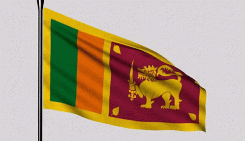 A Flag With A Lion And Sword On It GIF