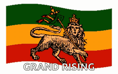 A Flag With A Lion On It And The Words Grand Rising GIF
