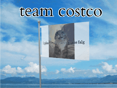 A Flag With A Picture Of A Cat And The Words Team Costco On It GIF