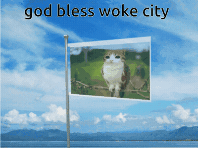 A Flag With A Picture Of A Cat On It And The Words God Bless Woke City GIF