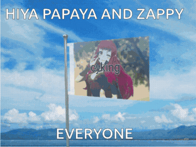 A Flag With A Picture Of A Girl On It And The Words Hiya Papaya And Zappy Everyone GIF