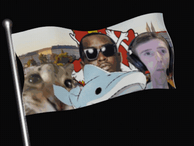 A Flag With A Picture Of A Man Holding A Dolphin On It GIF