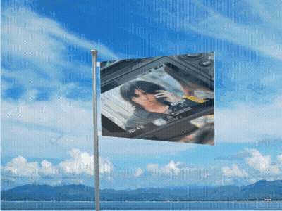 A Flag With A Picture Of A Woman On It That Says Sony On It GIF