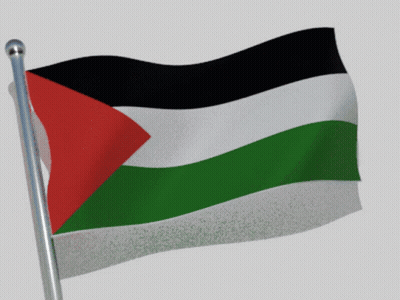 A Flag With A Red White And Green Triangle On It GIF