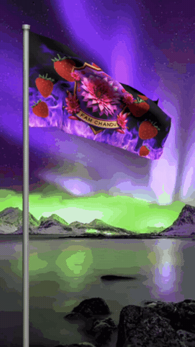 A Flag With Strawberries On It And The Words Team Chandu GIF