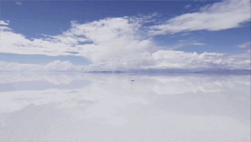 A Flamingo Is Standing In The Middle Of A Large Body Of Water GIF