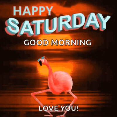A Flamingo Wearing Sunglasses Is Walking In Front Of A Sunset And Says Happy Saturday Good Morning Love You GIF