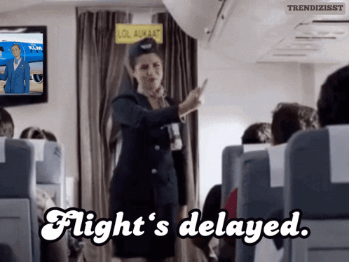 A Flight Attendant Says Flight 'S Delayed In Front Of A Klm Airplane GIF