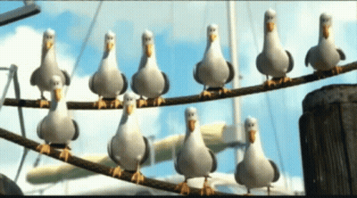 A Flock Of Seagulls Standing On A Wire GIF