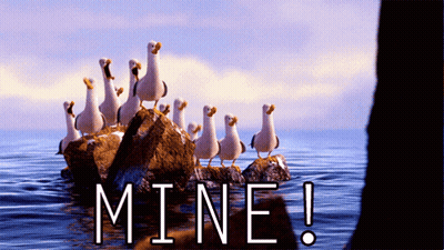 A Flock Of Seagulls Standing On Rocks In The Ocean With The Word Mine Written Below Them GIF
