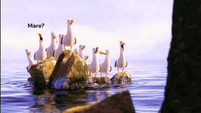 A Flock Of Seagulls Standing On Rocks In The Water With The Word Mare Written Above Them GIF