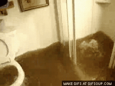 A Flooded Bathroom With A Toilet And Sink And A Make Gifs At Gifsoup.com Watermark GIF