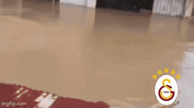 A Flooded Room With Wilson Written In Black Letters GIF
