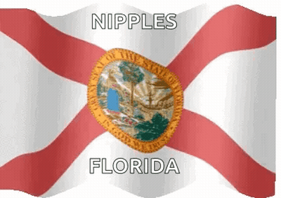 A Florida Flag With The Words Nipples Florida On It GIF