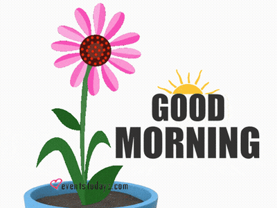 A Flower In A Blue Pot With The Words Good Morning GIF