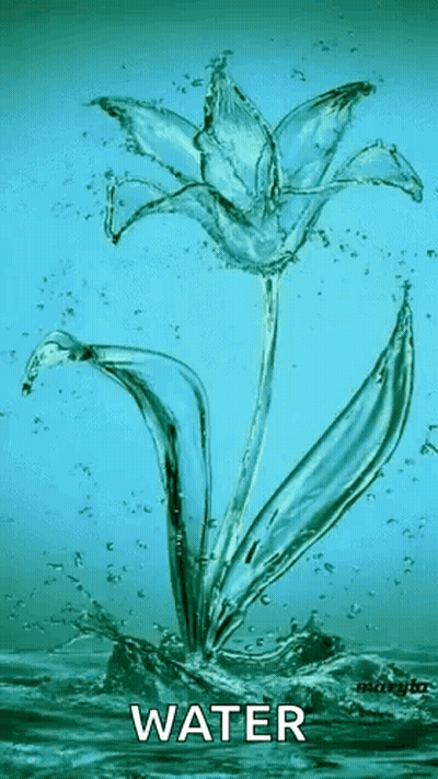 A Flower Made Out Of Water Is Splashing Out Of The Water . GIF
