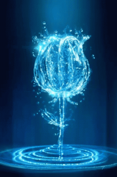 A Flower Made Out Of Water Is Surrounded By Circles Of Water GIF