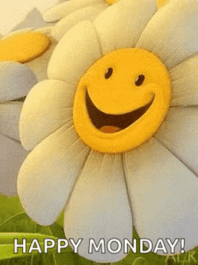 A Flower With A Smiley Face On It And The Words `` Happy Monday '' Written Below It . GIF