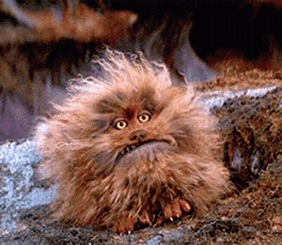 A Fluffy Animal With Yellow Eyes Is Sitting On The Ground GIF