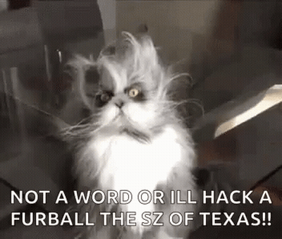 A Fluffy Cat Is Sitting On A Glass Table With A Knife In Its Mouth And A Quote . GIF