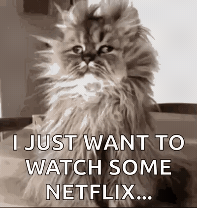 A Fluffy Cat Is Sitting On A Table And Says `` I Just Want To Watch Some Netflix '' . GIF