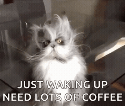 A Fluffy Cat Is Sitting On A Table With The Words `` Just Waking Up Need Lots Of Coffee '' Written Below It . GIF