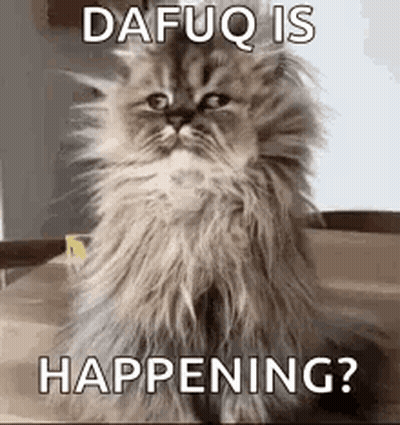 A Fluffy Cat Is Sitting On A Wooden Table With The Words `` Dafuq Is Happening ? '' Written On It . GIF