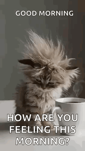 A Fluffy Kitten Is Sitting Next To A Cup Of Coffee On A Table . GIF